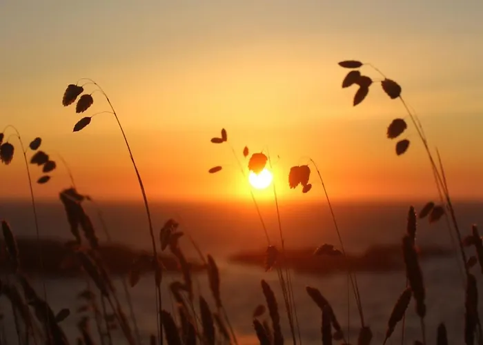 Duerming Areas Playa Hotel